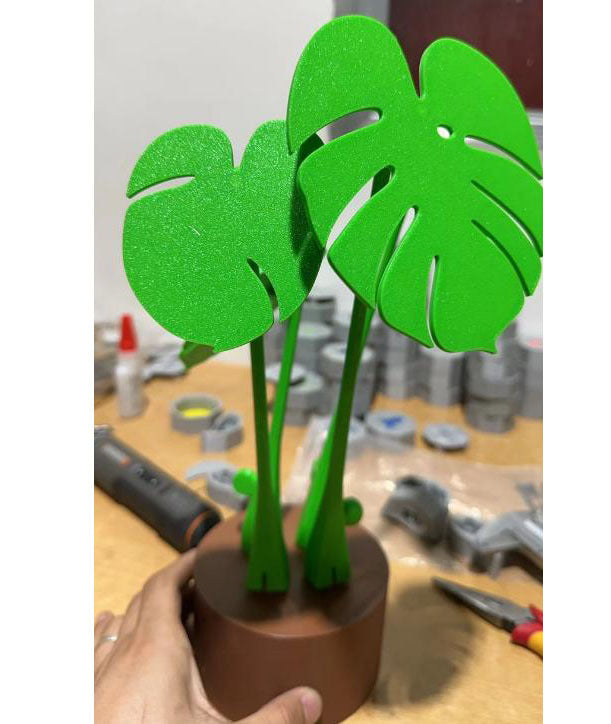 Monstera Deliciosa Coaster Set