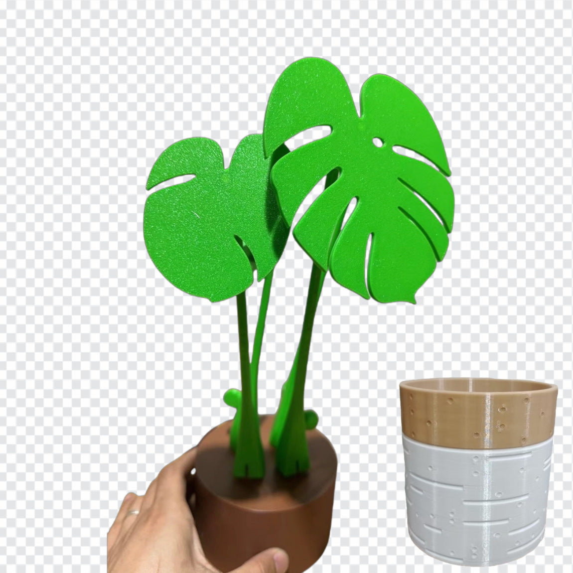 Monstera Deliciosa Coaster Set