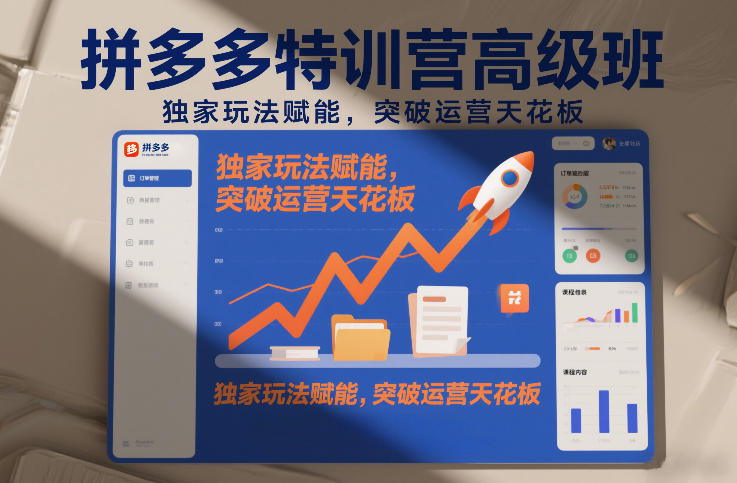 拼多多特训营高阶班，独家玩法赋能，突破运营天花板(更新26年1月)-十一