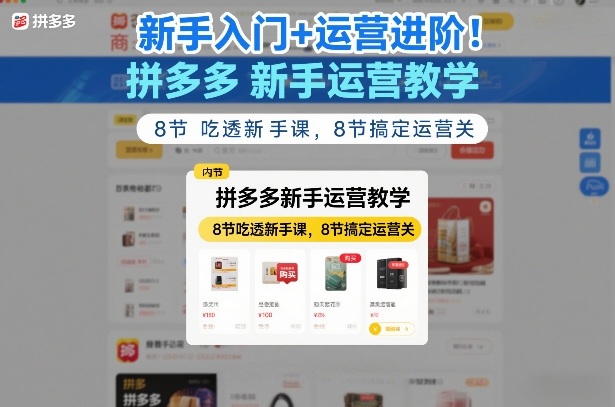 新手入门+运营进阶！拼多多新手运营教学，8节吃透新手课，8节搞定运营关-十一