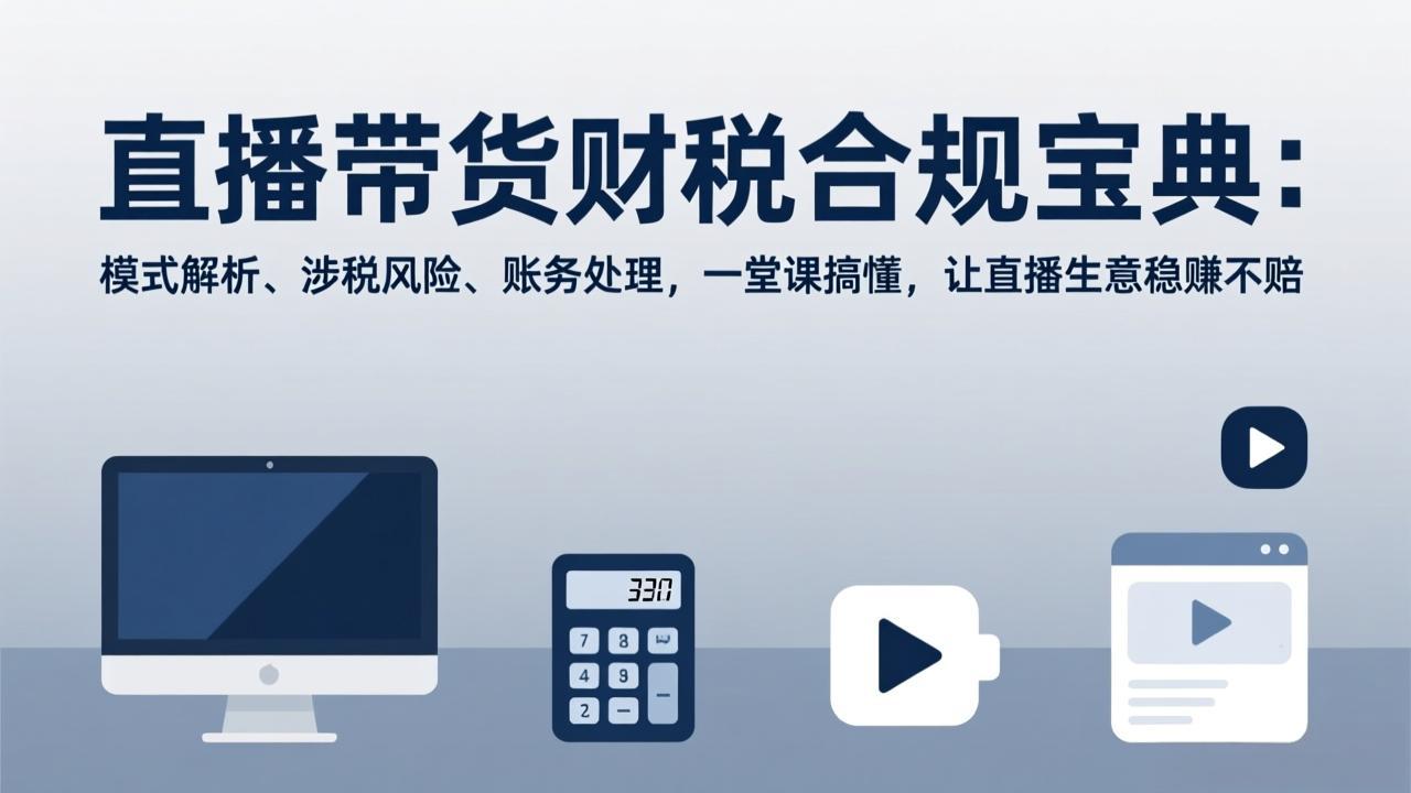 直播带货财税合规宝典：模式解析、涉税风险、账务处理，一堂课搞懂，让直播生意稳赚不赔 - 十一-十一