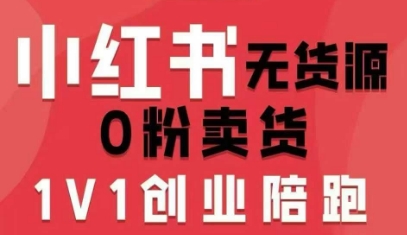 小红书无货源0粉电商课，开店准备、选品策略、笔记撰写、视频剪辑、数据分析、账号打造、资料文档(更新26年2月)-十一