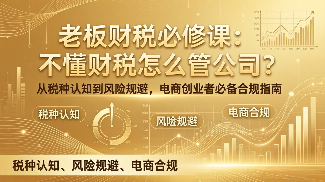 老板财税必修课：不懂财税怎么管公司？从税种认知到风险规避，电商创业者必备合规指南-十一