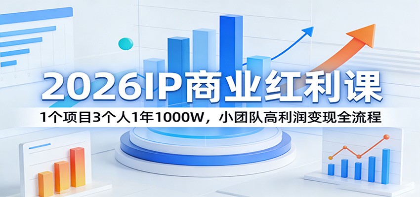2026IP商业红利课：1个项目3个人1年1000W，小团队高利润变现全流程-十一
