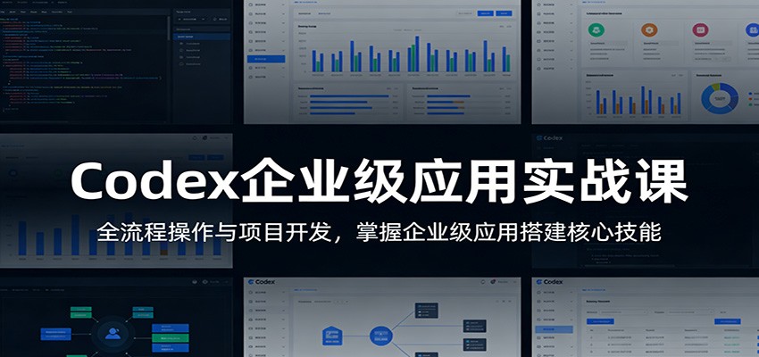 Codex企业级应用实战课：全流程操作与项目开发，掌握企业级应用搭建核心技能 - 十一-十一