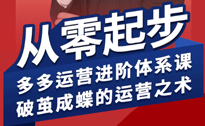 海神·拼多多运营进阶系统课(更新2026) - 十一-十一